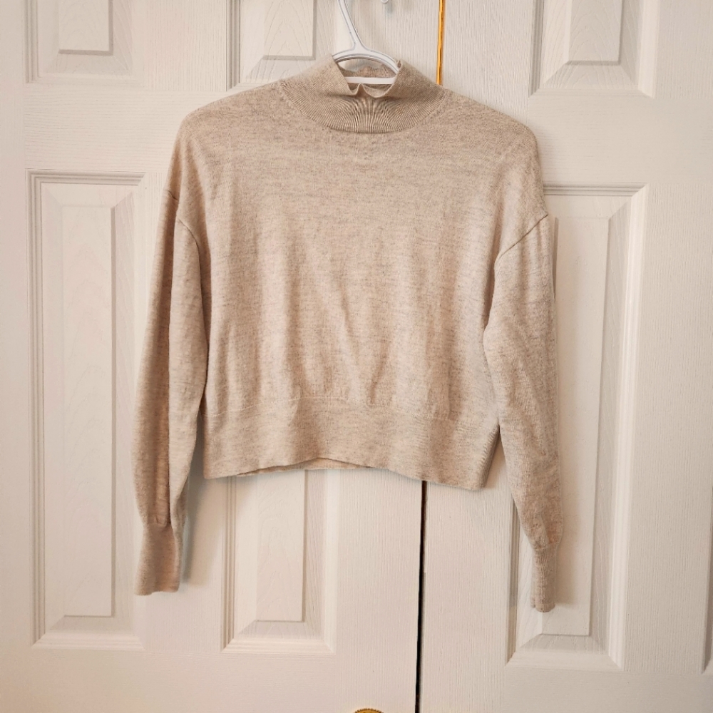 Aritzia Sweater